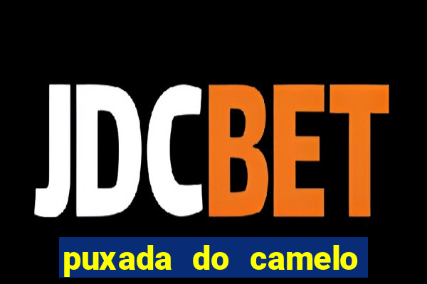 puxada do camelo jogo do bicho